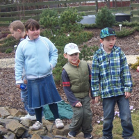 353397979zelenina-313