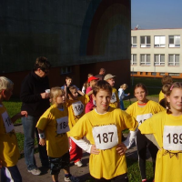 36969498vsetin2010-001-4