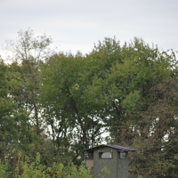 374646202dsc1369