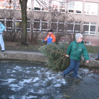 3748314520080110175930