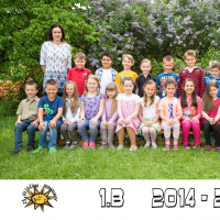 376204772900-1b-