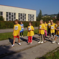 377273785vsetin2010-001-6