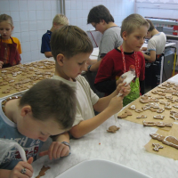 38114326920081208131236