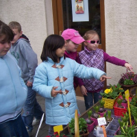 392658578zelenina-297