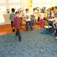 394469162snv19162-web