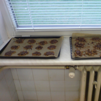 4016168820081125153329