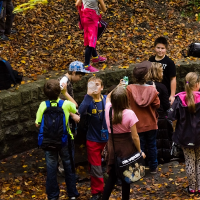 4043411065blesniskola-004