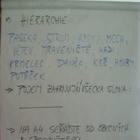 40684176020071119101757