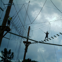 40740137820081118130014