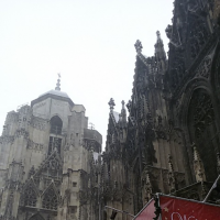 415250245stephansdom-4