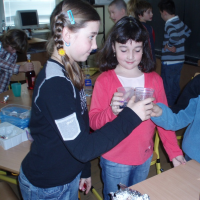 4216097720071221134205