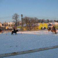 421998686img4307