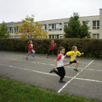 427390102vsetin13
