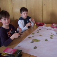 433870253zelenina-260