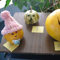 43732292220081006113736