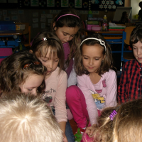 43829717snv19136-web
