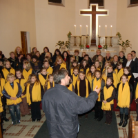 4388671220090115134011