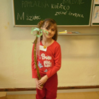 44255311p3310139