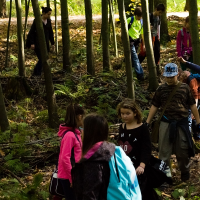 4526486045blesniskola-005