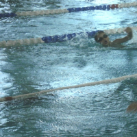 46348975p1100154