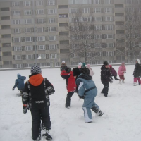 469826961img7908-800x600