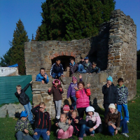 4725099013cfotkyi-005