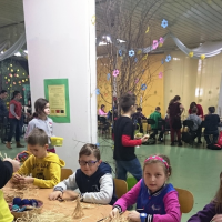 47352810120150320-dsc0207