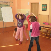 48253836p3050239