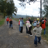 49494393920090311074312