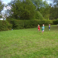 495795220p7050036