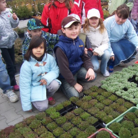 49814833zelenina-280