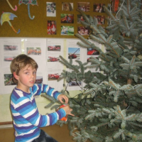 50118151img0071