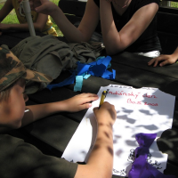 5083486520080530170006