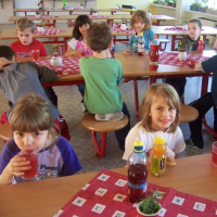 508353812noc-ve-skole-32
