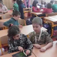 51534176520170328092328