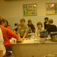 52846466420090215215603