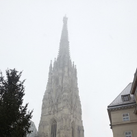 534449889stephansdom-11