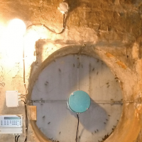 54385812img20161025090214