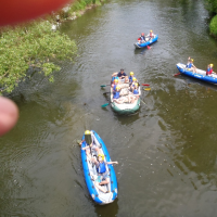 54444843p1010445