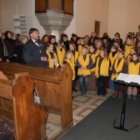 54842173920090115134004