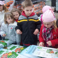 549401518zelenina-288