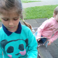 553583236img20170526103229