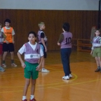 55591494vybij-034