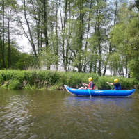 557547826p1010440