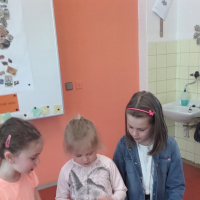 57016795320170328093315