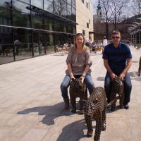 574265469p4200249-800x600