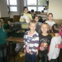 581318303pa070295