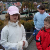 584828680zelenina-284