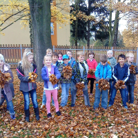 5883141223cfotkyi-022