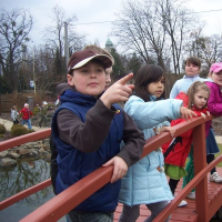 593320148zelenina-307